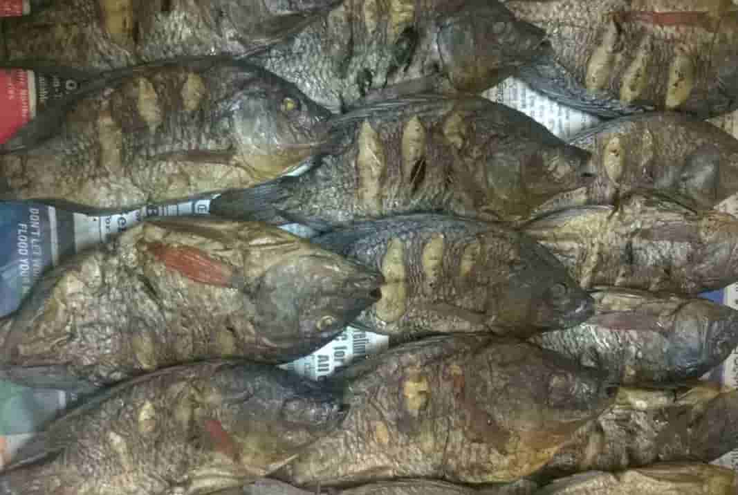 Tunghanbi - Dried fish